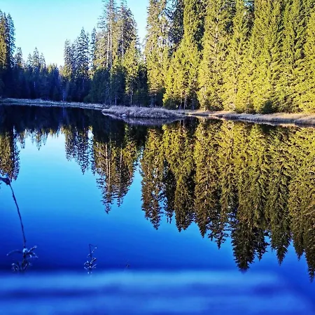 Sternstube - Mit Traumhaftem Weitblick * Freyung