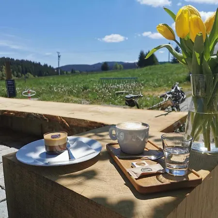 Sternstube - Mit Traumhaftem Weitblick Freyung