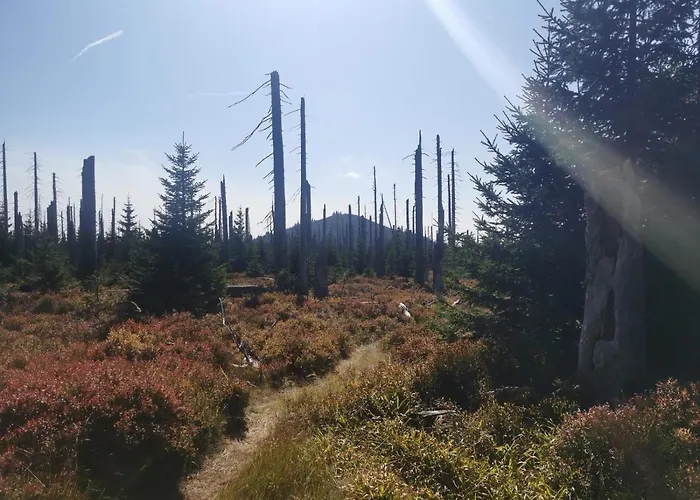 Sternstube - Mit Traumhaftem Weitblick * Freyung