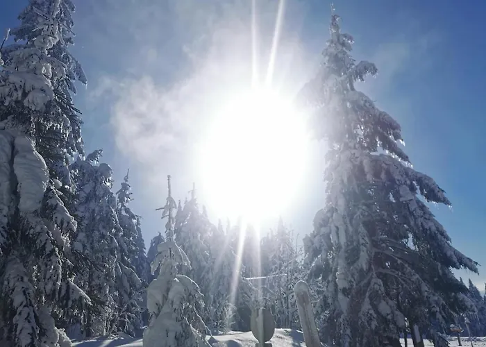 Apartmán Sternstube - Mit Traumhaftem Weitblick *
